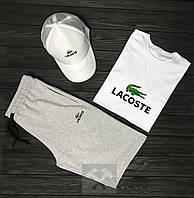 Мужской костюм тройка кепка футболка и шорты Лакост (Lacoste), летний мужской костюм, S