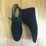 Ботинки Calvin Klein Kenley Calf Suede dark navy, фото 6
