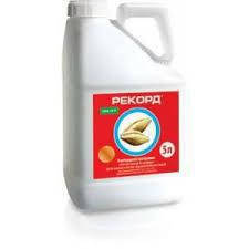 Протравник прикрасить Рекорд ТК аналог Вітавакс Ukravit