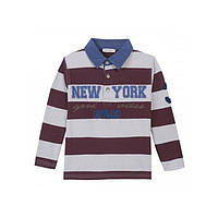 Джемпер поло для хлопчика 3pommes 14015 сірий з бордовим 98-140