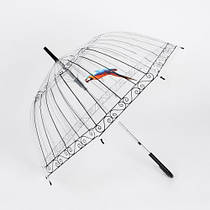 Прозора купольна парасолька