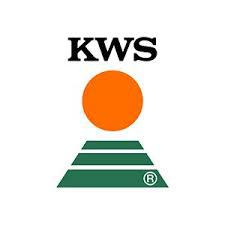 Насіння озимої пшениці РОНІН KWS