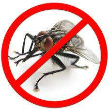 Засоби для боротьби з мухами