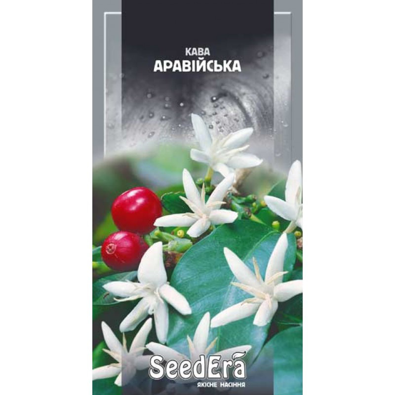 Насіння Кава аравійська кімнатна 10шт SeedEra