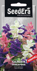 Насіння сальвії Триколірна 0,2 г SeedEra