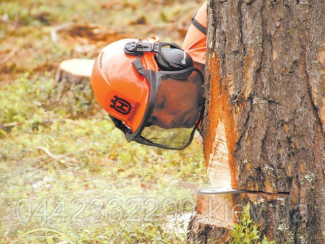 Спиливание деревьев, обрезка веток, корчевка пней - фото 1 - id-p679059