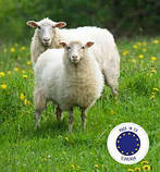 Дитяча мериносова ковдра — плед Opera ( Іспанія), фото 5