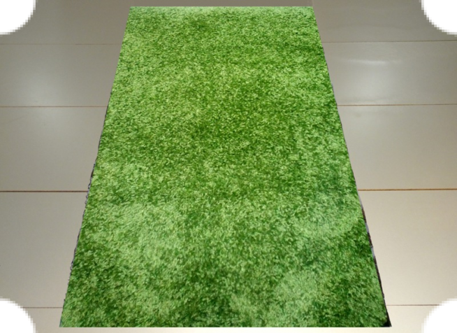 Килим Shaggy Gold 9000 GREEN