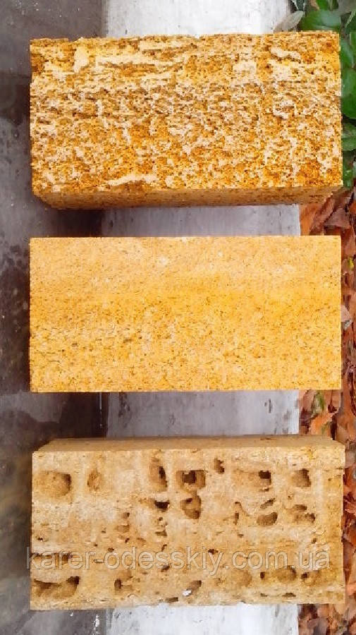 Де купити ракушник у Херсоні ▷ мушля-пухун у Херсонській області, фото 1