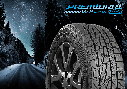 205/55 r 16 Premiorri Z Plus зимова, фото 4