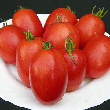 Насіння томату Велоз F1 (1000 нас.) Semenis