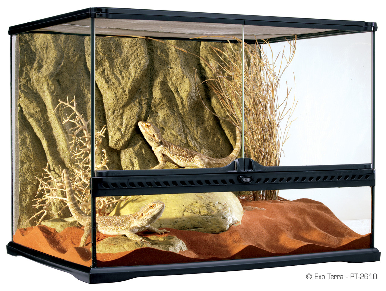 Тераріум скляний Exo Terra Glass terrarium, 60х45х45 см (PT2610)