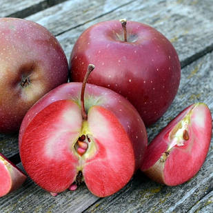 Саджанці Яблуні Байа (Бая) Маріса - зимова, красном'яса, крупноплідна