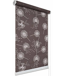 Рулонні штори Квіти Кульбаби