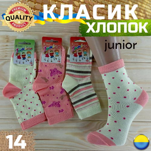 Дитячі демісезонні шкарпетки дівчинка "КЛАСІК" Україна Черкаси 14 розмір НДД-08116