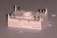 SK45WT12 Модуль Semitop 2 (два однофазных АС-ключ)