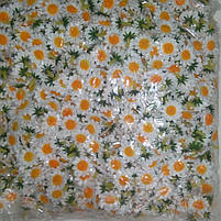 Штучна головка ромашки.Декоративна ромашка., фото 4