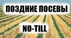 Як посіяла соняшник сівалка John Deere 7200 б.у. з Precision Planting 25 червня. Огляд сходів