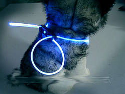 Светящийся ошейник для щенков, кошек и собак—синий.