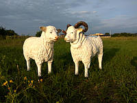 Садові фігури - корови, вівці, барани, кози, коні