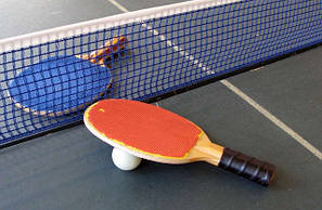 Настільний теніс (пінг-понг)