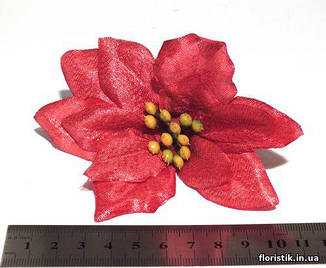 Квітка "Різдвяна зірка" (Пуансетія) коралова, перламутр