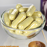 Еврикома Довга eurycoma longifolia long jack для підвищення тестостерону анабілик жироспалювач, фото 4