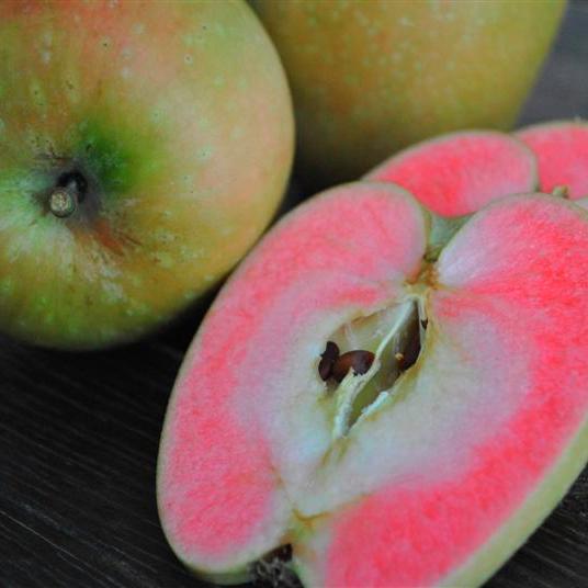 Саджанці Яблуні Хідден Роуз - осіння, красном'яса, зимостійка, фото 1