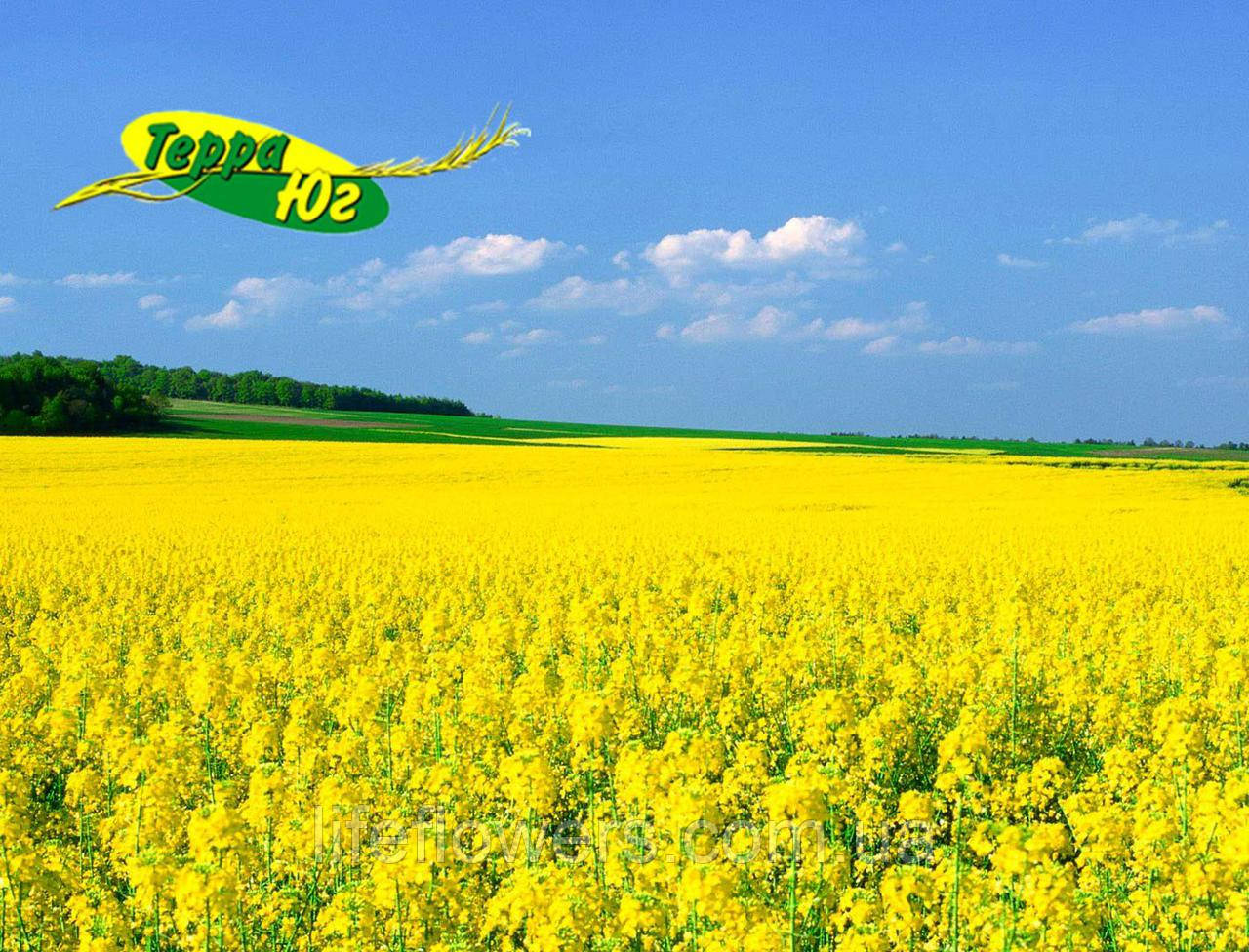 МАРШАЛ