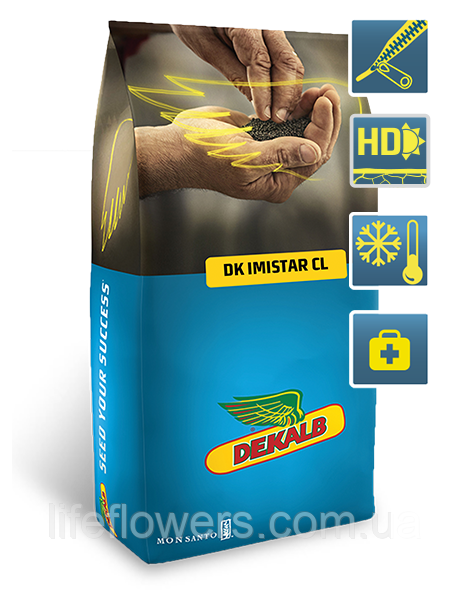 DK Imistar CL (ДК Имистар)