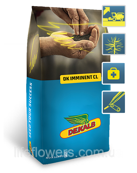 DK Imminent CL (ДК Іммінент)