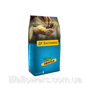 DK Expower (ДК Експовер)