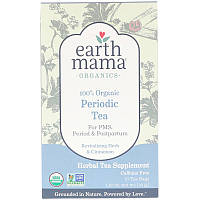 Earth Mama, 100% органічний чай для особливих днів, відновлюють трави і кориця, 16 чайних пакетиків