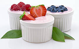 Закваска для йогурту (10шт х 1л)