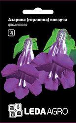 Насіння азарини (Горлянка), 4 шт., фіолетова