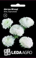 Насіння айстри Міледі, 0,2 гр., біла, карликова