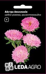 Насіння айстри Аполлонія, 0,2 гр., сріблисто-рожева, хризантемовидная