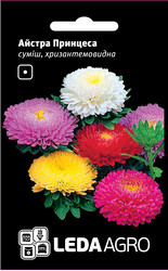 Насіння айстри Принцеса, 0,2 гр., суміш, хризантемовидная