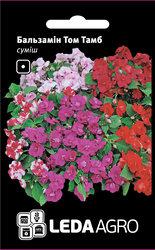 Насіння бальзаміну Тому Тамб, 0,5 гр., махровий, суміш