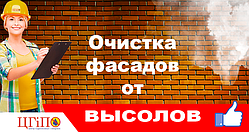 Очищення фасадів від висолів