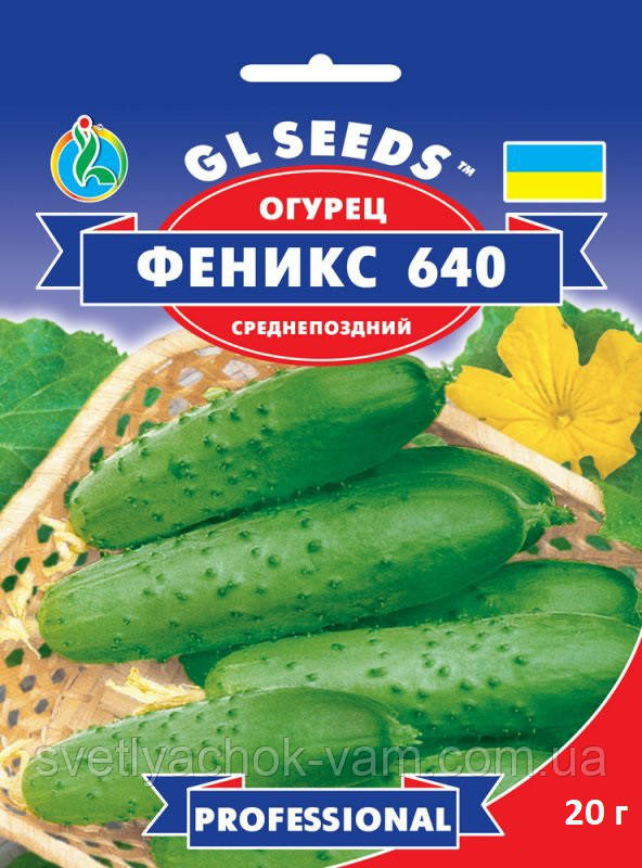 Огірок Фенікс 640 високопродуктивний сорт середньопізній універсальний, упаковка 20 г