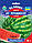 Кавун Ау Продюсер ранній соковитий, дуже солодкий транспортабельний стійкий лежок, упаковка 10 г, фото 2