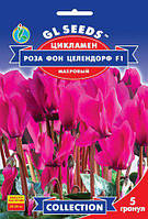 Цикламен Роза фон Целлендорф F1 сорт крупноцветковый махровый стайка экзотических бабочек, упаковка 5 гранул
