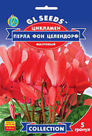 Цикламен Перла фон Целендорф благородный срезочный сорт с тонким ароматом, упаковка 5 гранул