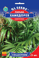Пальма бамбукова Хамедорія витончена непротлива квітка жовтогарячо-червоні заввишки 1,5-2 м, паковання 5 шт.
