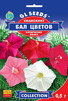 Квамоклит Бал Цветов одна из прелейснешных кипарисовых садовых лиан, упаковка 0,5 г