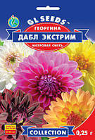 Георгіна Дабл Екстрим розкішна рослина заввишки 50-60 см рясно цвіте до заморозків, паковання 0,25 г