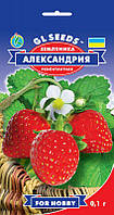 Земляника Александрия один из лучших безусых ремонтантных зимостойких сортов, упаковка 0,1 г