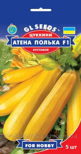 Цукіні Атена Полька F1 кущовий холодостійкий партенокарпічний гібрид, паковання 5 шт.