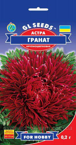Астра Гранат чарівна голчаста з гігантськими суцвіттями чудова для зрізання, паковання 0,2 г
